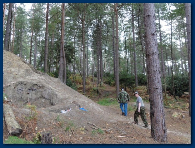 600x449 pixels (175K)